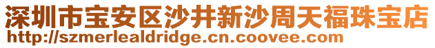 深圳市寶安區(qū)沙井新沙周天福珠寶店