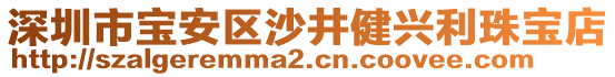 深圳市寶安區(qū)沙井健興利珠寶店