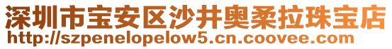 深圳市寶安區(qū)沙井奧柔拉珠寶店