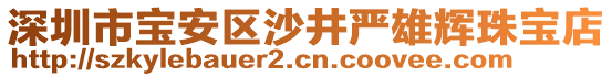 深圳市寶安區(qū)沙井嚴(yán)雄輝珠寶店