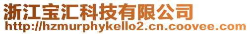 浙江寶匯科技有限公司