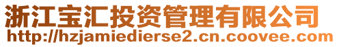 浙江寶匯投資管理有限公司