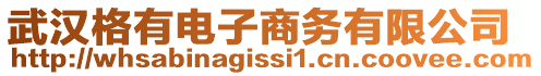 武漢格有電子商務有限公司