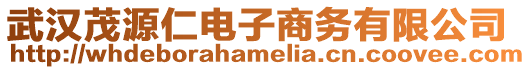 武漢茂源仁電子商務有限公司