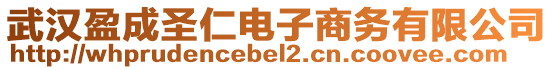武漢盈成圣仁電子商務(wù)有限公司
