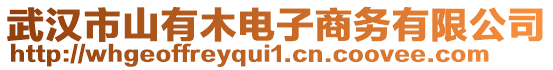 武漢市山有木電子商務(wù)有限公司