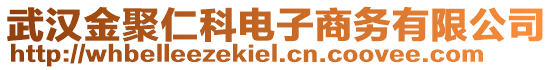 武漢金聚仁科電子商務(wù)有限公司