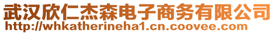 武漢欣仁杰森電子商務(wù)有限公司