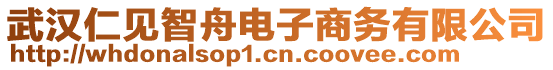 武漢仁見智舟電子商務有限公司