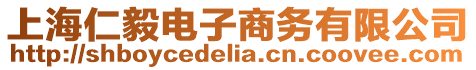 上海仁毅電子商務有限公司