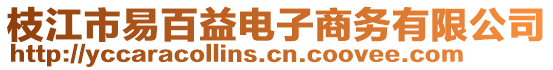 枝江市易百益電子商務有限公司