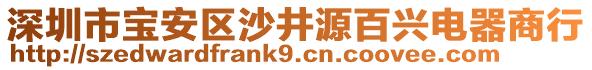 深圳市寶安區(qū)沙井源百興電器商行