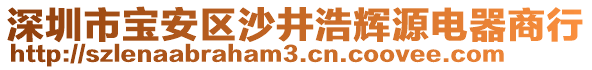 深圳市寶安區沙井浩輝源電器商行