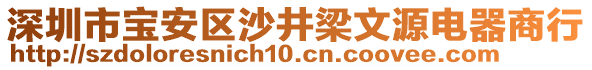 深圳市寶安區(qū)沙井梁文源電器商行