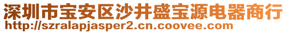 深圳市寶安區(qū)沙井盛寶源電器商行