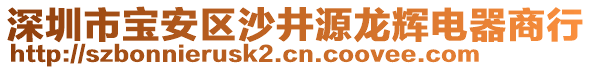 深圳市寶安區(qū)沙井源龍輝電器商行