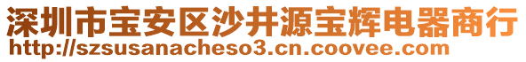 深圳市寶安區沙井源寶輝電器商行