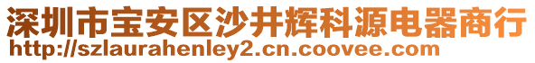 深圳市寶安區(qū)沙井輝科源電器商行