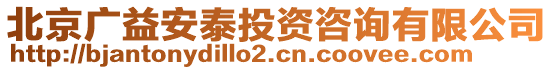 北京廣益安泰投資咨詢有限公司