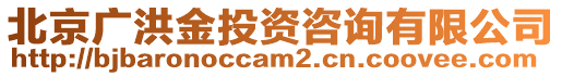 北京廣洪金投資咨詢有限公司
