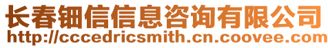 長春鈿信信息咨詢有限公司