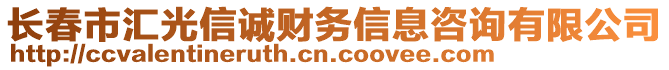 長春市匯光信誠財務信息咨詢有限公司