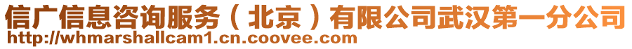 信廣信息咨詢服務(北京)有限公司武漢第一分公司