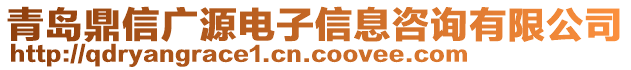 青島鼎信廣源電子信息咨詢有限公司