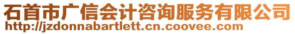 石首市廣信會計咨詢服務有限公司