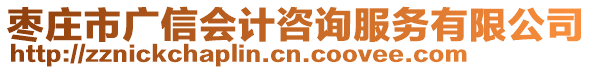 棗莊市廣信會(huì)計(jì)咨詢服務(wù)有限公司