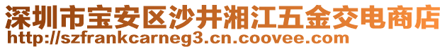 深圳市寶安區(qū)沙井湘江五金交電商店