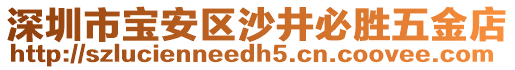 深圳市寶安區(qū)沙井必勝五金店