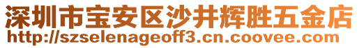 深圳市寶安區(qū)沙井輝勝五金店