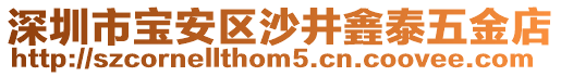 深圳市寶安區(qū)沙井錱泰五金店