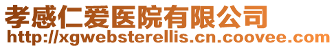 孝感仁愛醫(yī)院有限公司