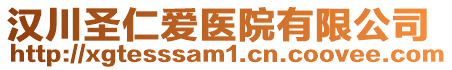 漢川圣仁愛醫(yī)院有限公司