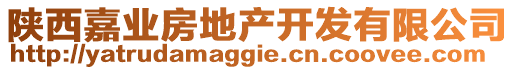 陜西嘉業(yè)房地產(chǎn)開發(fā)有限公司