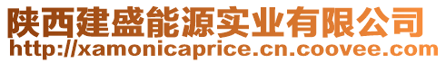 陜西建盛能源實業有限公司