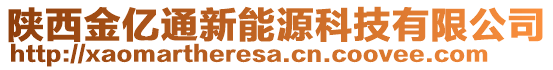 陜西金億通新能源科技有限公司