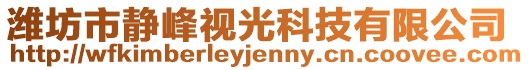 濰坊市靜峰視光科技有限公司