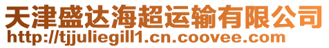 天津盛達(dá)海超運(yùn)輸有限公司