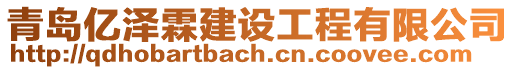 青島億澤霖建設工程有限公司