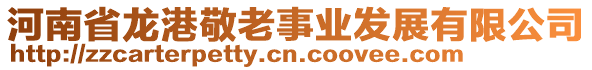 河南省龍港敬老事業(yè)發(fā)展有限公司