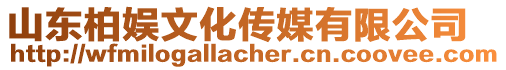 山東柏娛文化傳媒有限公司