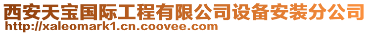 西安天寶國際工程有限公司設(shè)備安裝分公司