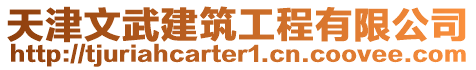 天津文武建筑工程有限公司
