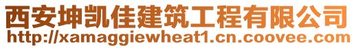 西安坤凱佳建筑工程有限公司