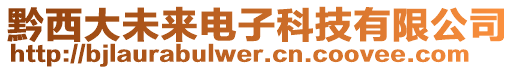 黔西大未來電子科技有限公司