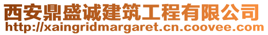 西安鼎盛誠建筑工程有限公司