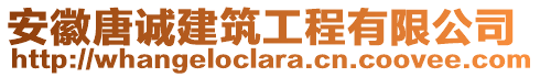 安徽唐誠建筑工程有限公司